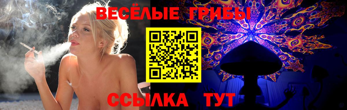 Галлюциногенные грибы Psilocybe Пугачёв